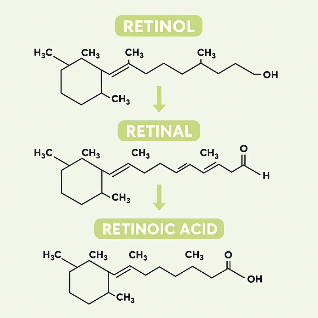 Vaelia® Retinal Shot - Adios Arrugas y Flacidez