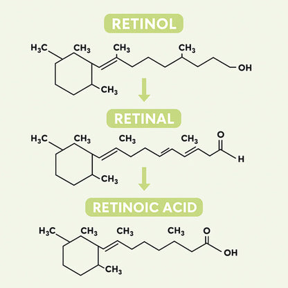 Vaelia® Retinal Shot - Adios Arrugas y Flacidez